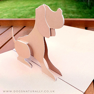 Brown 3D Luxury Pop Up Dog Card